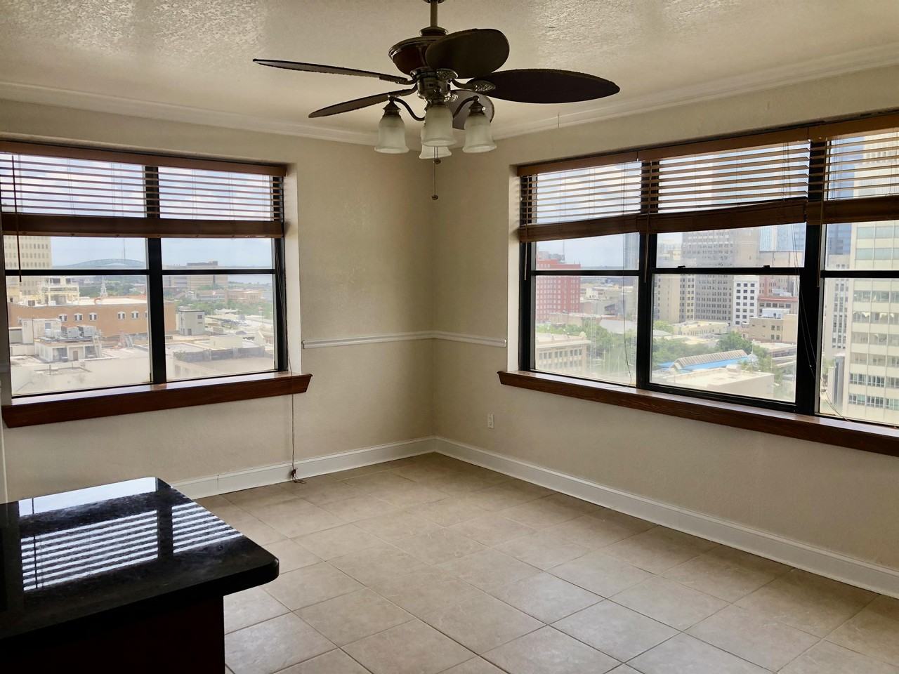 311 West Ashley Street1501 #1 - Photo 2 of 13