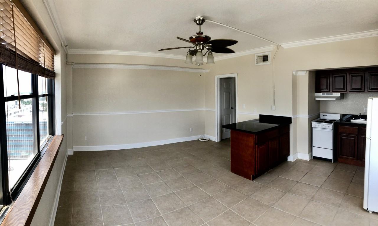 311 West Ashley Street1501 #1 - Photo 3 of 13