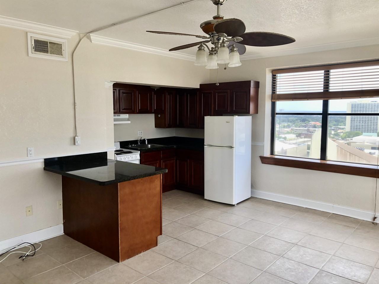 311 West Ashley Street1501 #1 - Photo 4 of 13