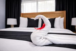 featured image of Palora Ave