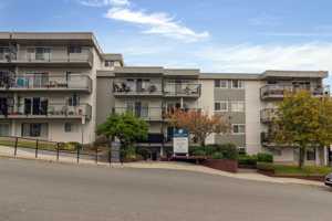 featured image of 280 Cypress St