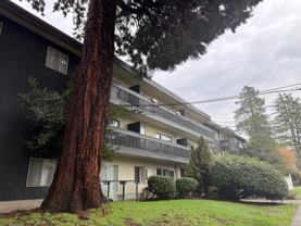 Alderwood - Photo 1 of 1