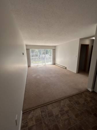 32435 George Ferguson Way #317 - Photo 4 of 11