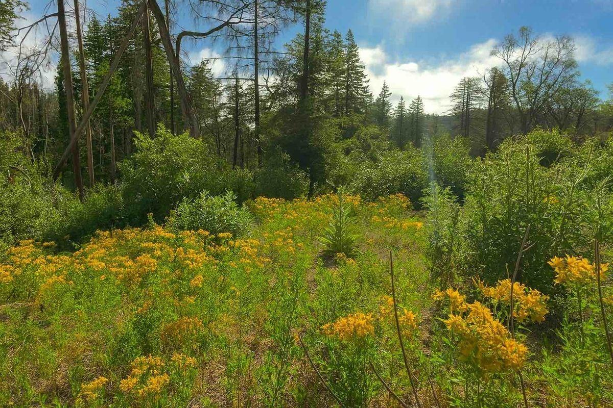 297 Robles Dr - Photo 5 of 6