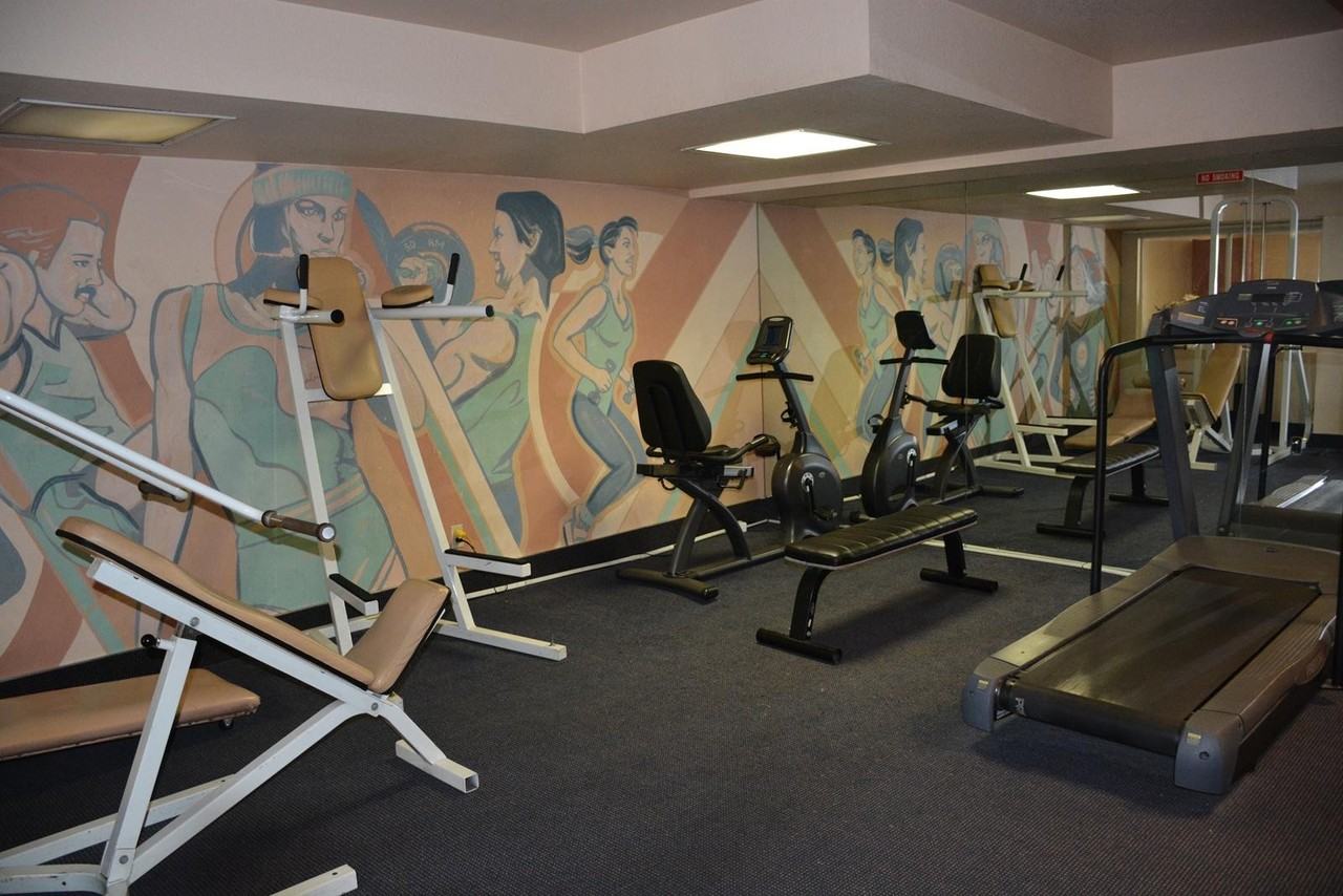 Palm Terrace - Photo 7 of 50