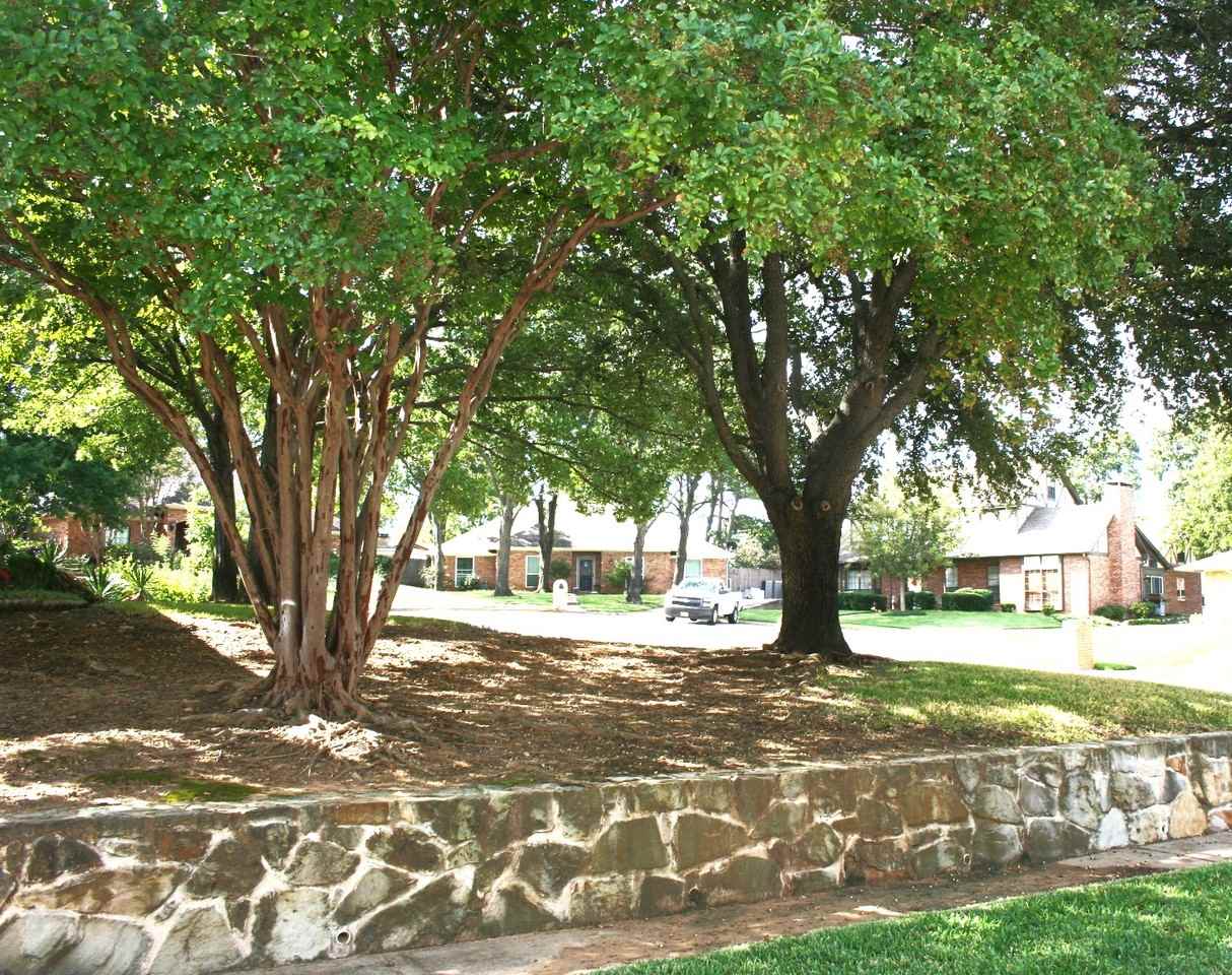 603 Bent Tree Ct #NA - Photo 3 of 16