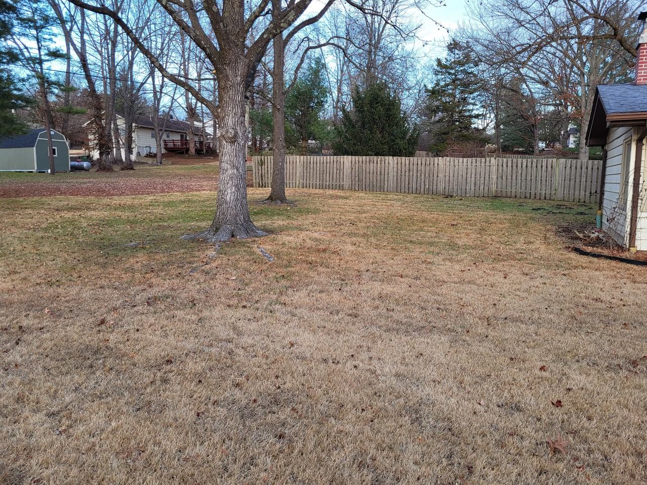 1305 Whitney Ln #NA - Photo 4 of 20