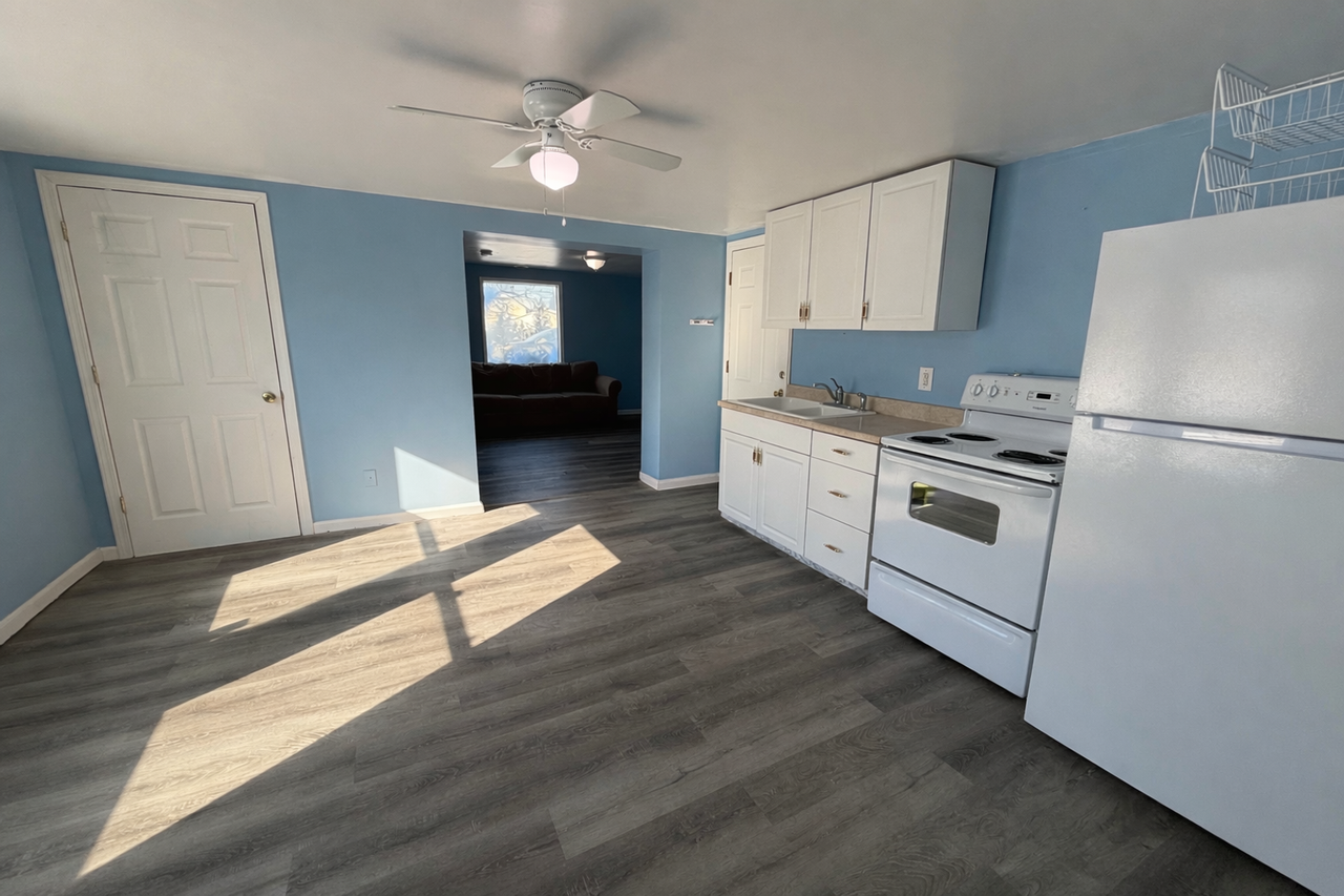 145 Harris St Lodi Oh 44254 .T1 - Photo 4 of 17