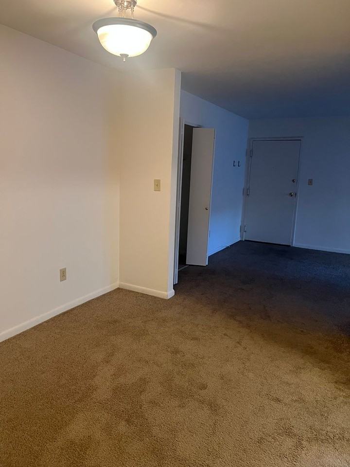 11 Leo Ct - Photo 5 of 11