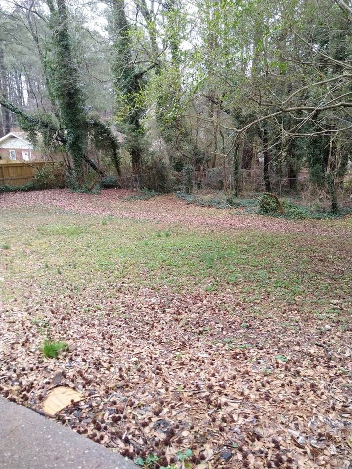 108 Mount Zion Rd Sw - Photo 4 of 13