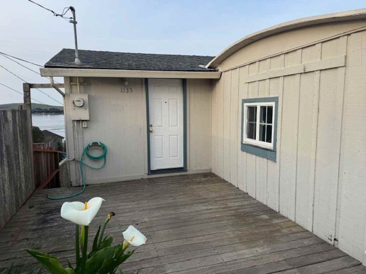 1135 Bodega Ave - Photo 3 of 10