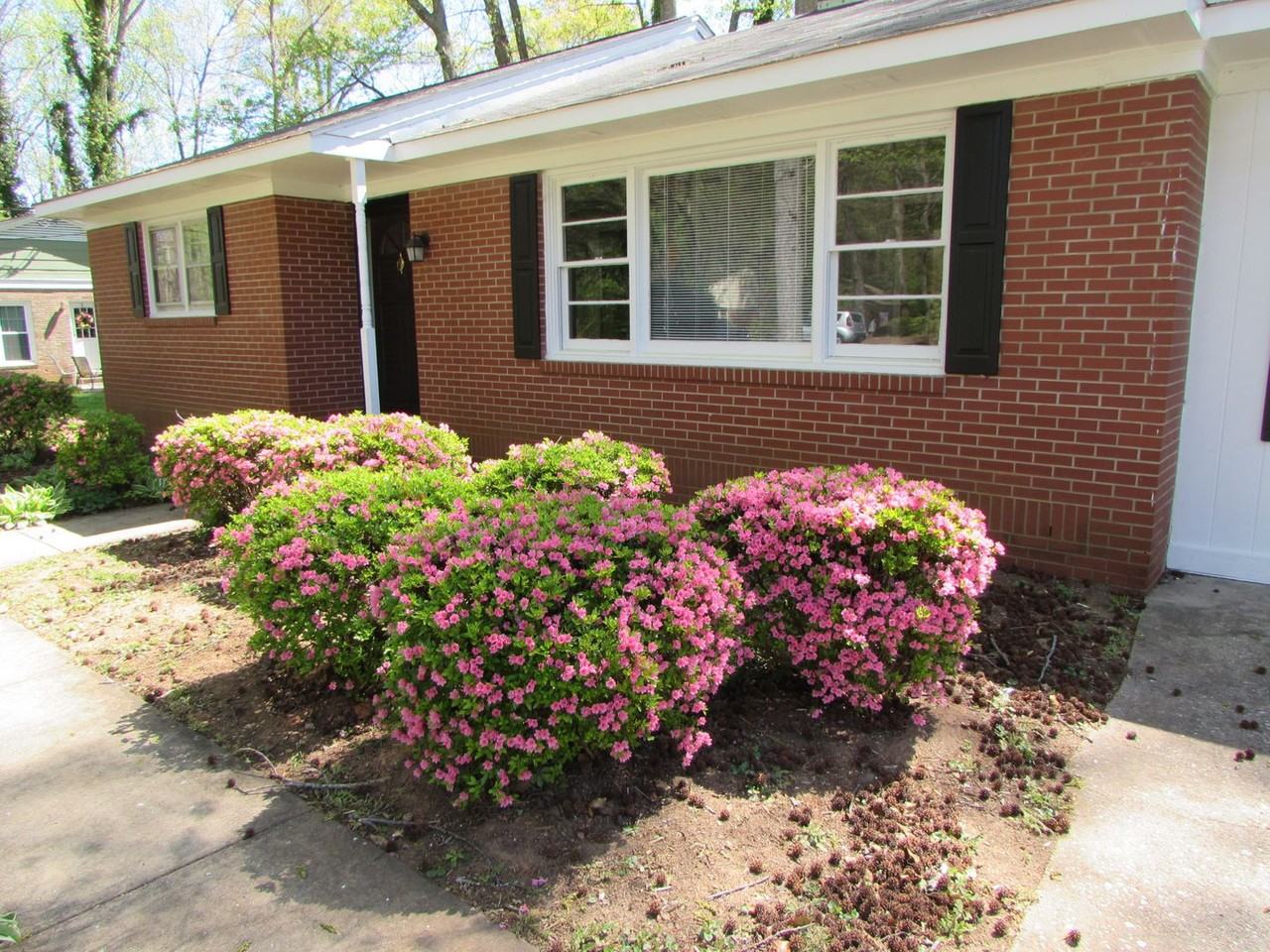 1107 Forestdale Dr - Photo 3 of 14
