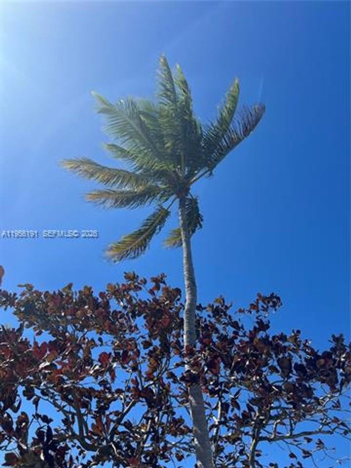 6484 6484 E Miami Lakes Dr th E - Photo 6 of 41