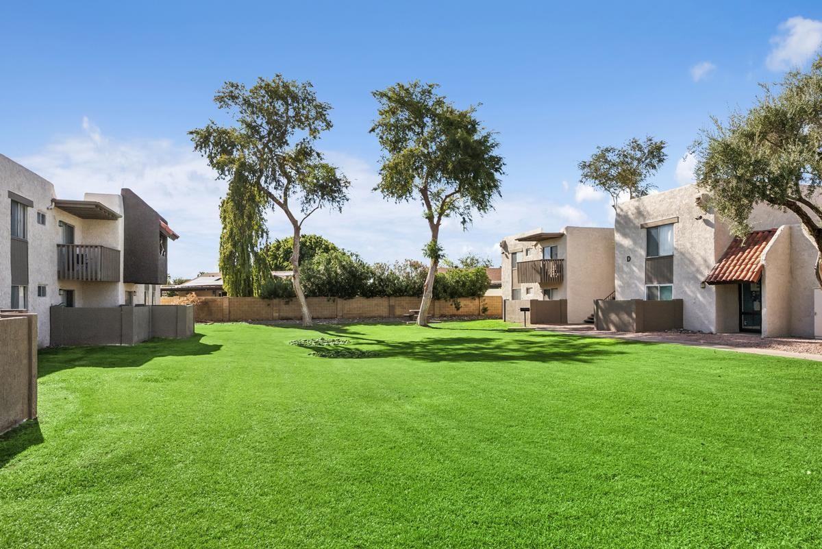 3161 W Cheryl Dr - Photo 3 of 22