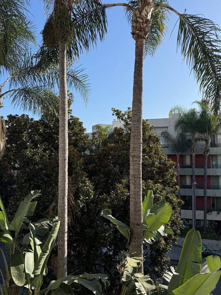 **Prime Location | Clean & a Great Value Well - Photo 4 of 28