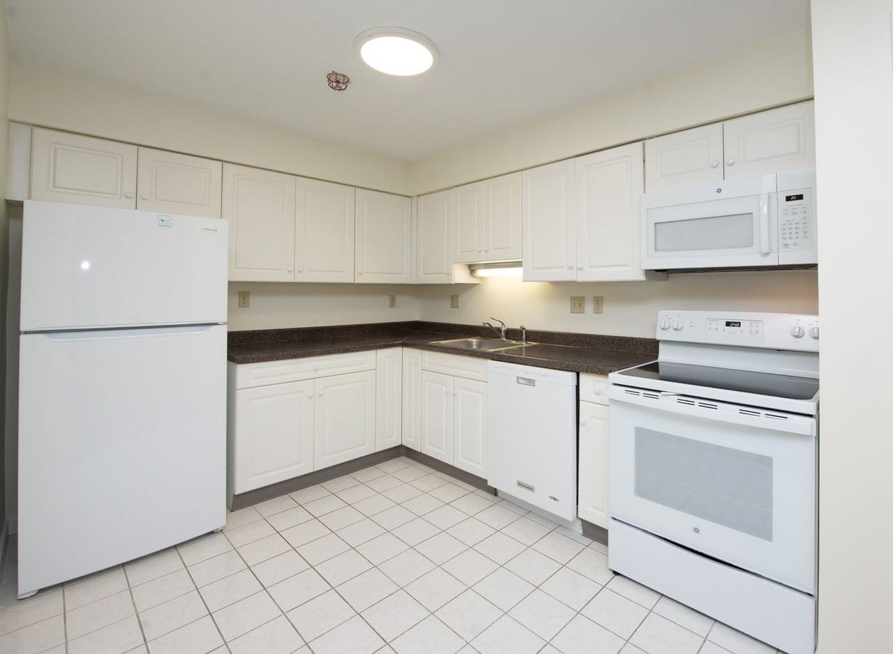 Chestnut Hill East - Photo 3 of 45