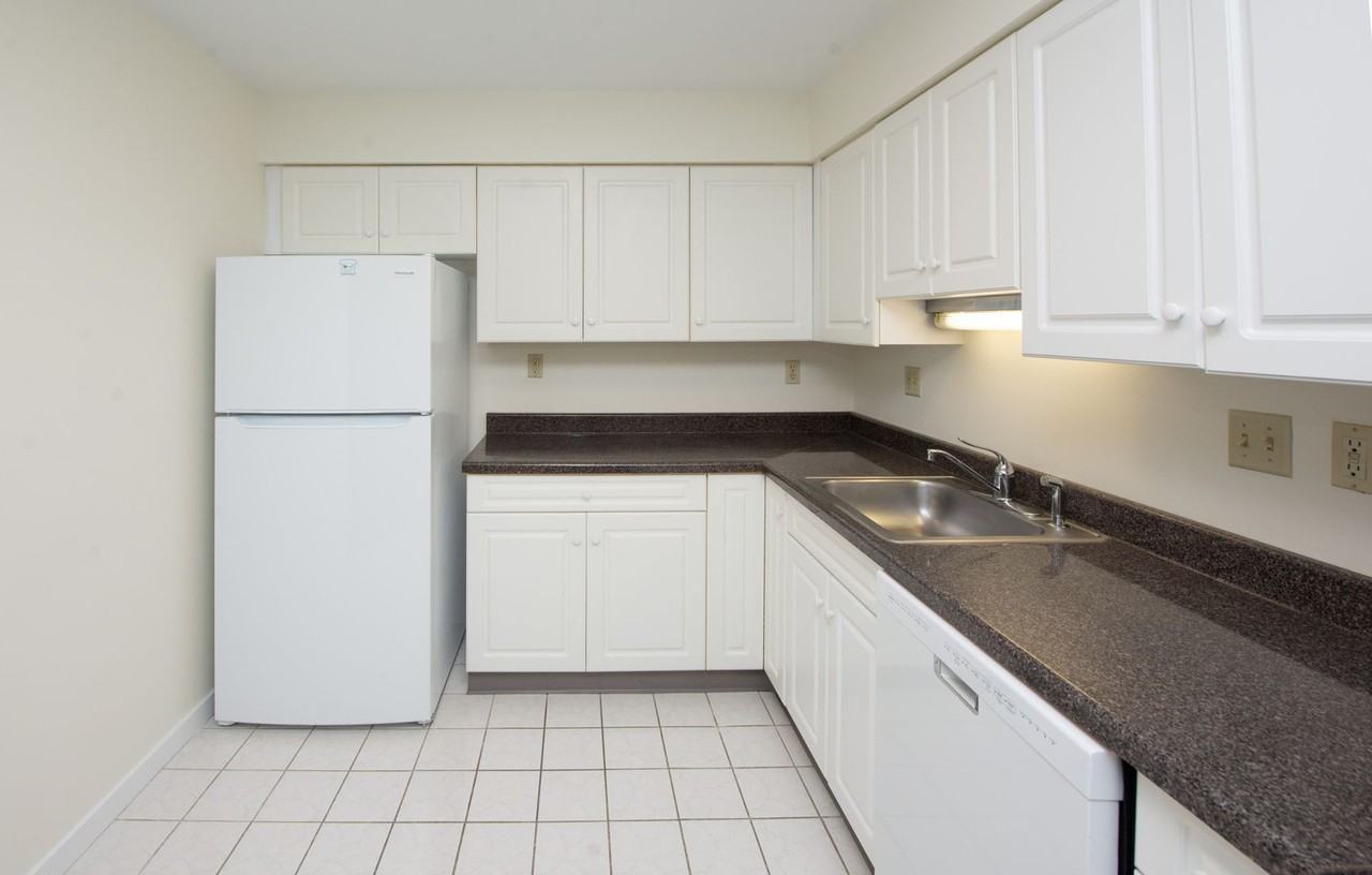 Chestnut Hill East - Photo 4 of 45