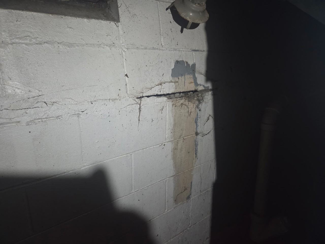 1779 E Hickory St - Photo 6 of 24