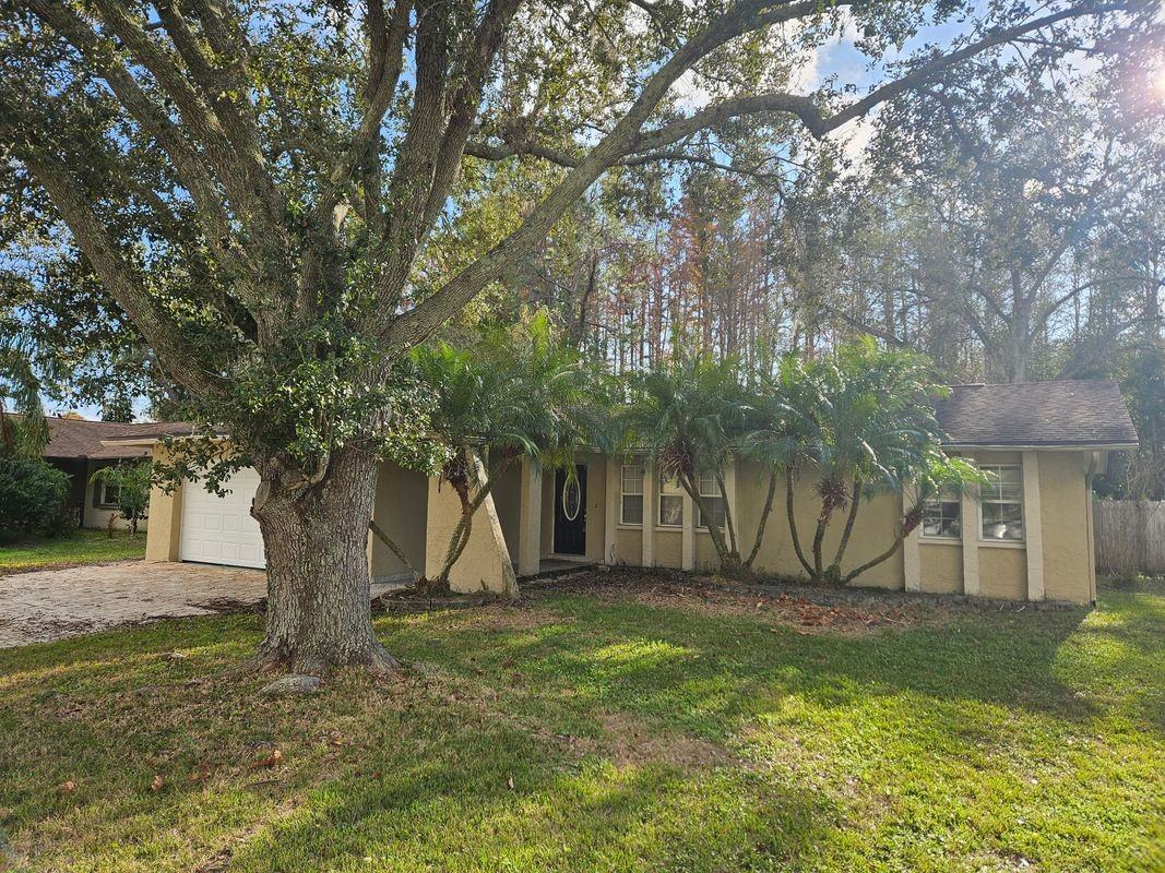 5488 Carrollwood Meadows Dr - Photo 2 of 28