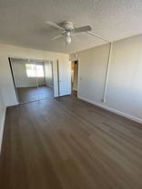 Amber Woods - Photo 1 of 1