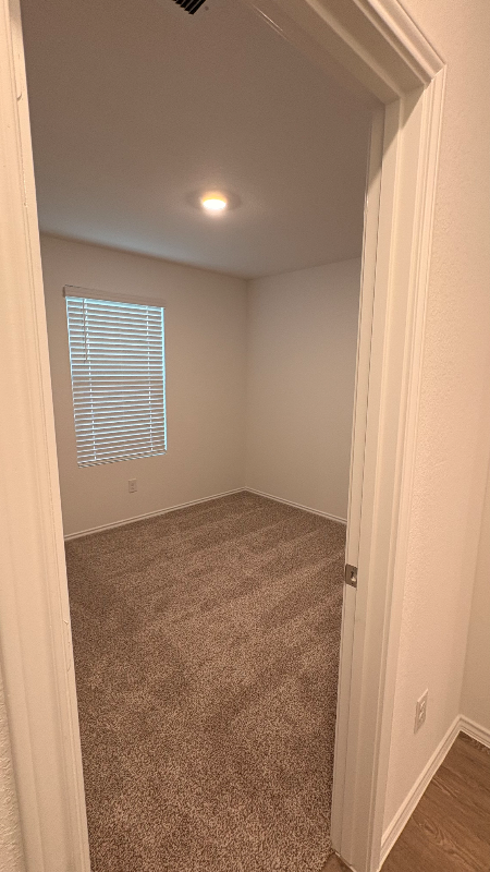 316 Constanza Trl - Photo 7 of 18