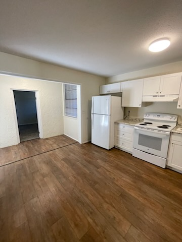 847 Winter Garden Dr - Photo 4 of 5