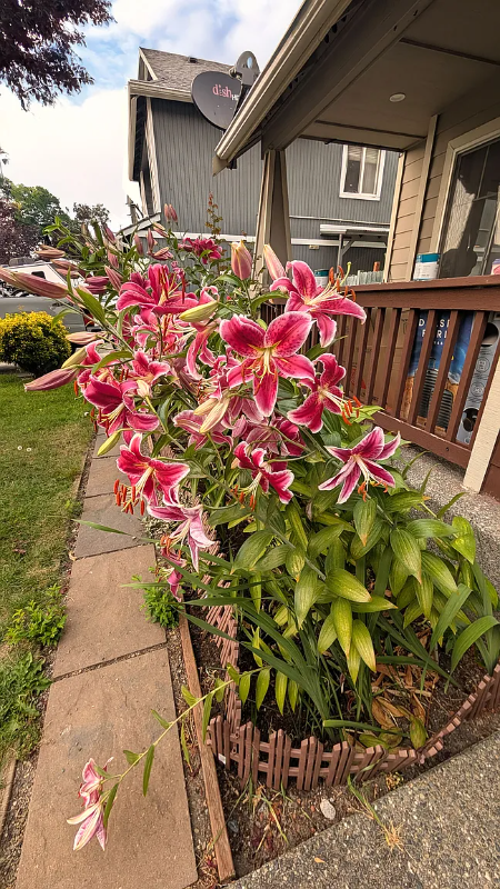 36264 23rd Pl S - Photo 3 of 14