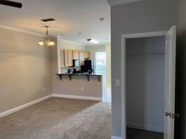 featured image of 31 N Sand Palm Rd #31