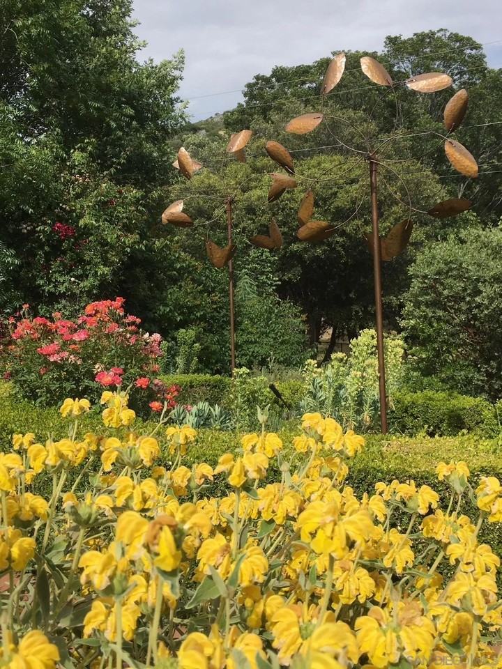 3870 Crescent Julian Ca #3870 - Photo 3 of 15