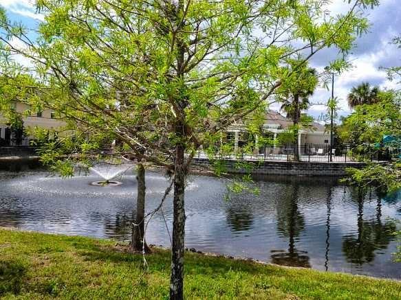 10142 Regent Square Dr #203 - Photo 2 of 50