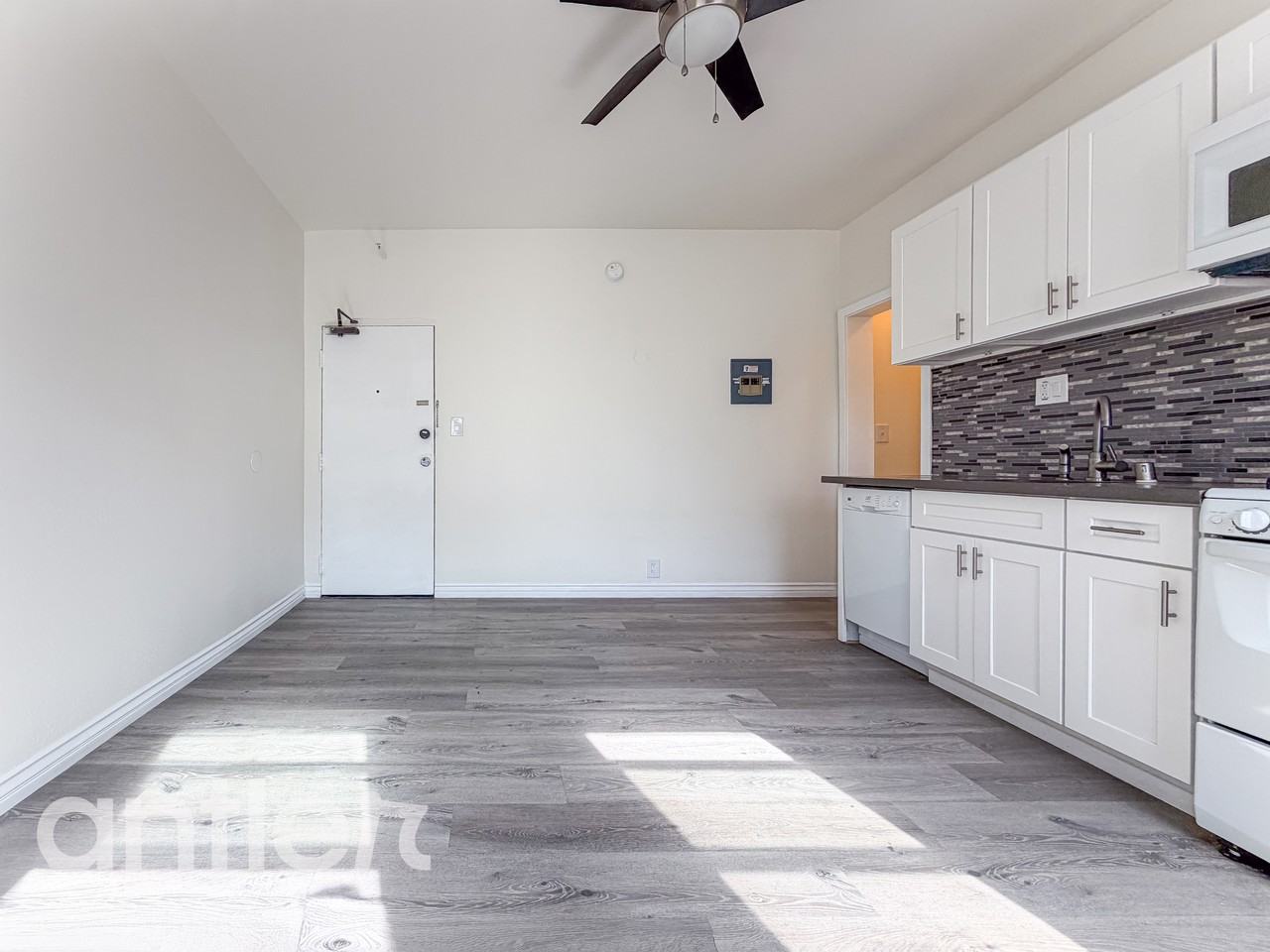 717 S Carondelet St #307