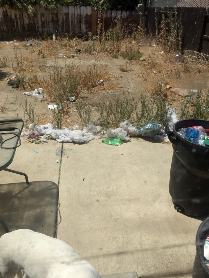 237 N Santa Rita St - Photo 7 of 8