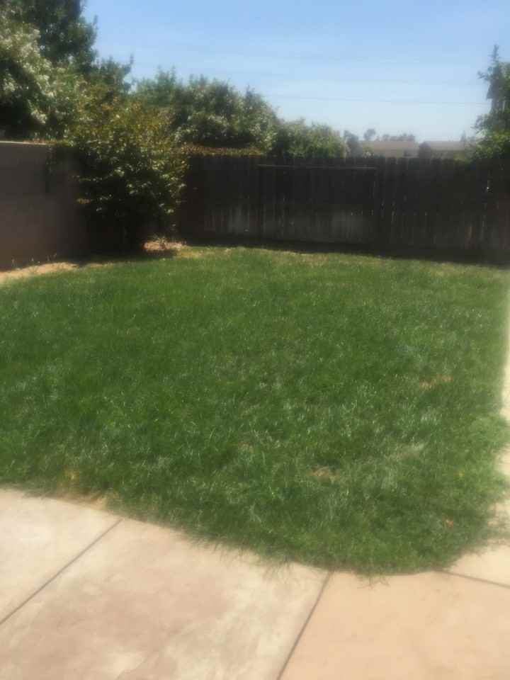 3962 Blackberry Ave - Photo 6 of 50