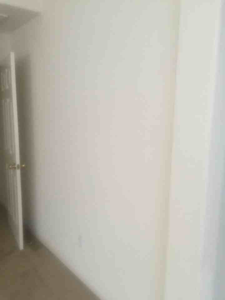 3962 Blackberry Ave - Photo 7 of 50