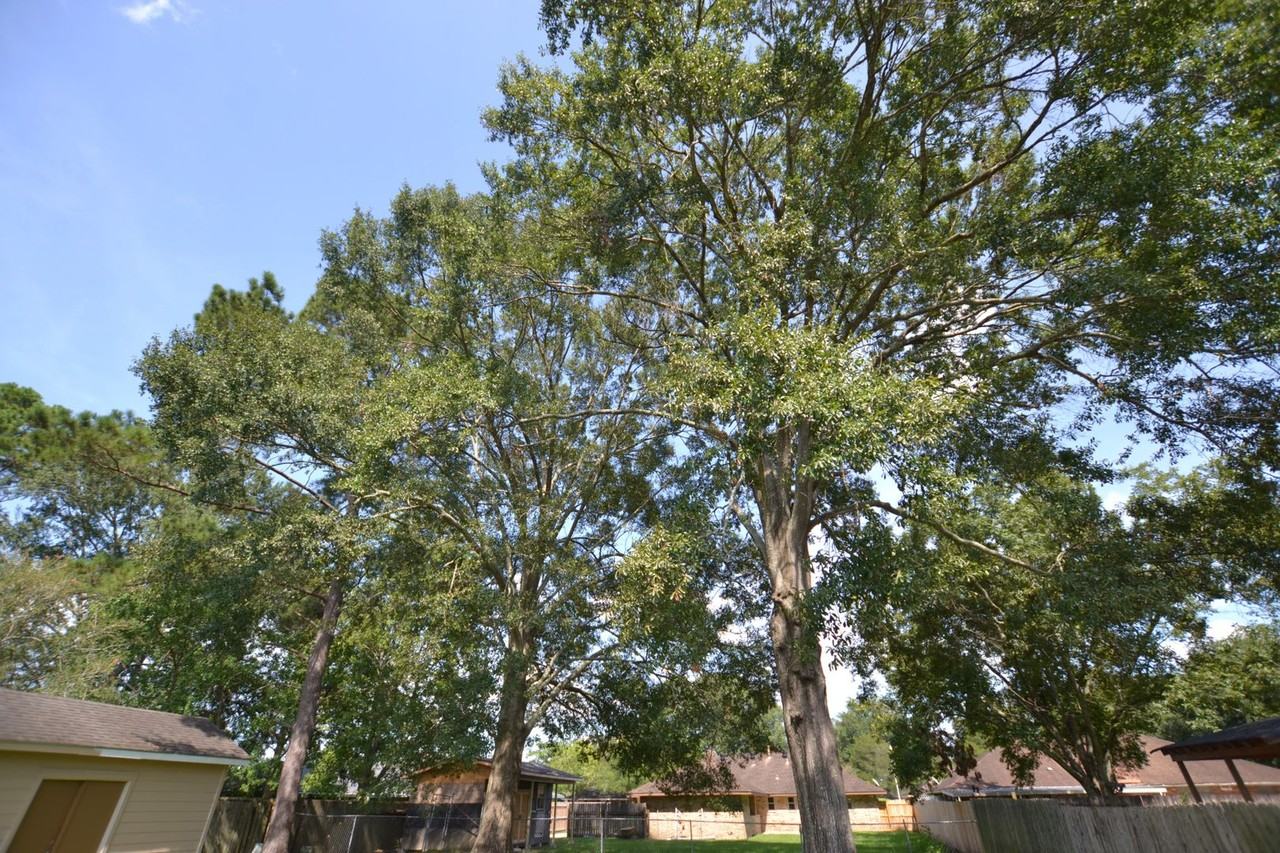 3552 Platt Dr - Photo 5 of 37