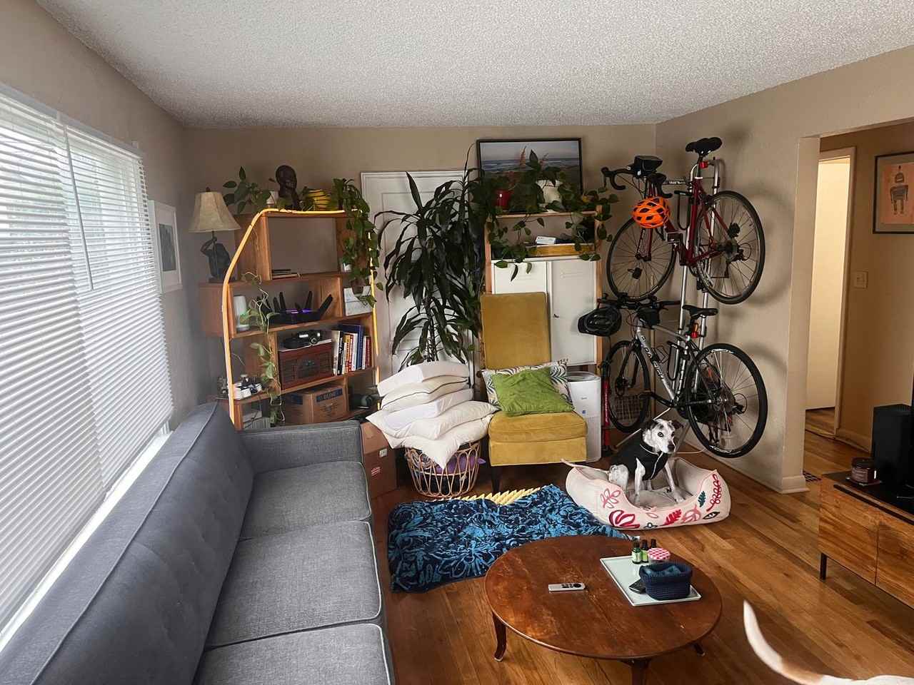 806 Nw 53rd St - Photo 6 of 16