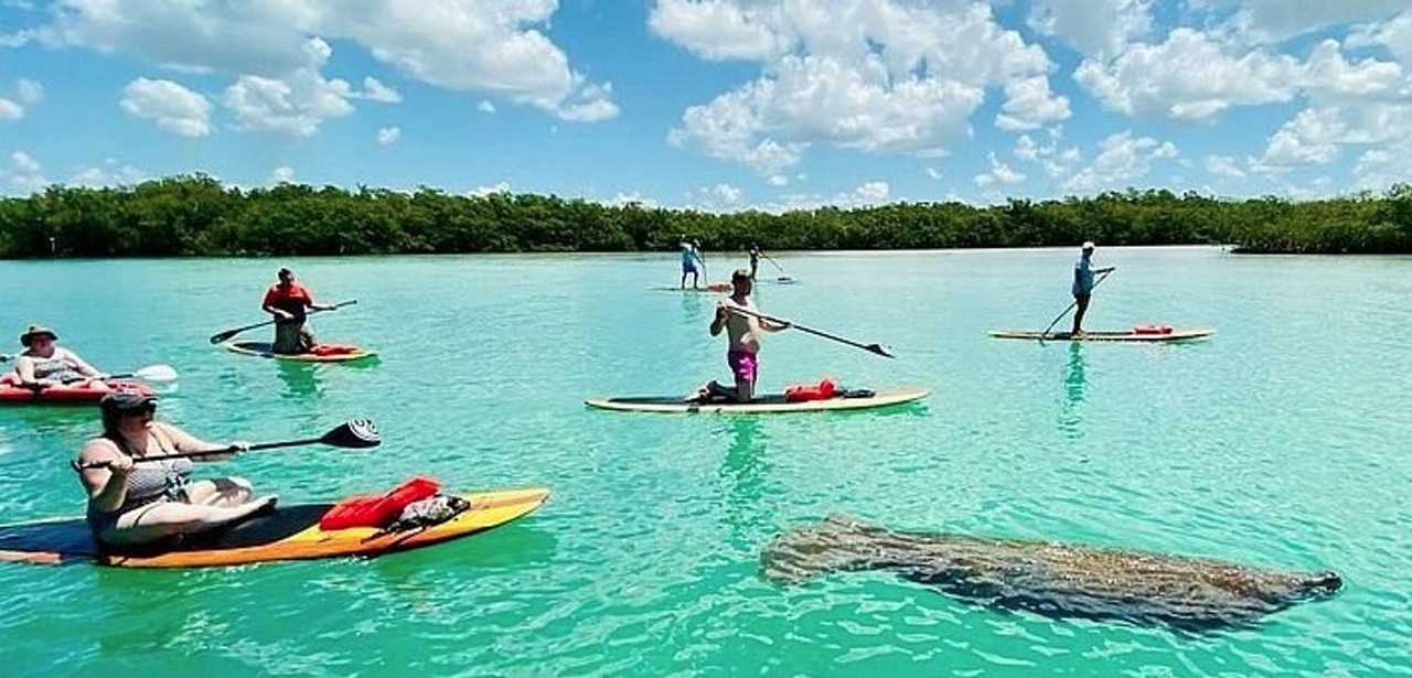 4879 Esplanade St - Photo 4 of 50