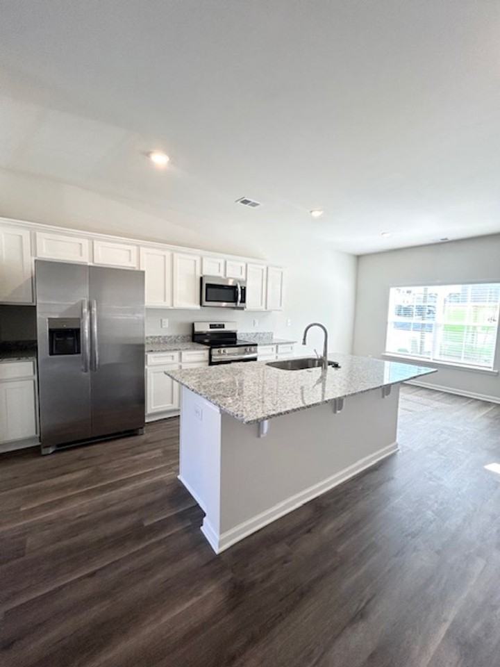 1002 Tundra Teal Ln - Photo 3 of 14