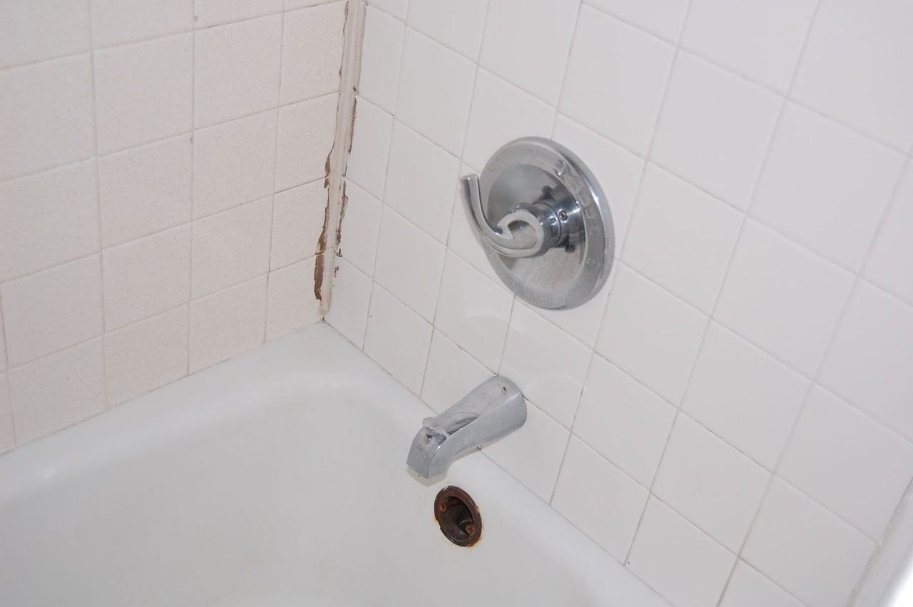 Shady Oak Apartments - Photo 6 of 7