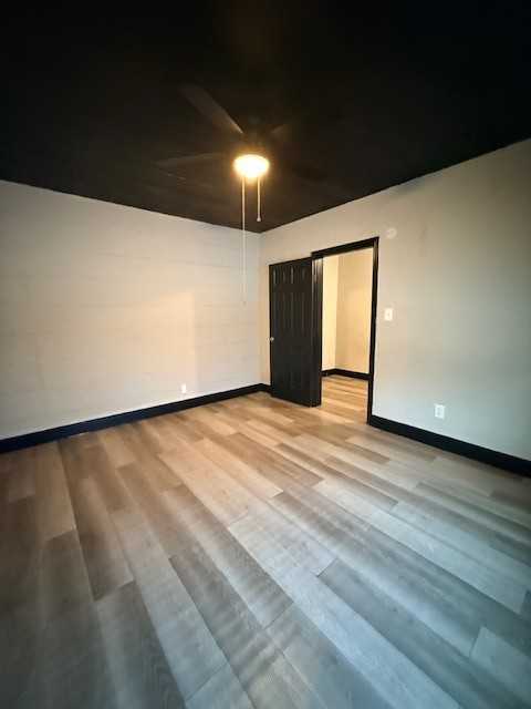 Elysian - Photo 3 of 25