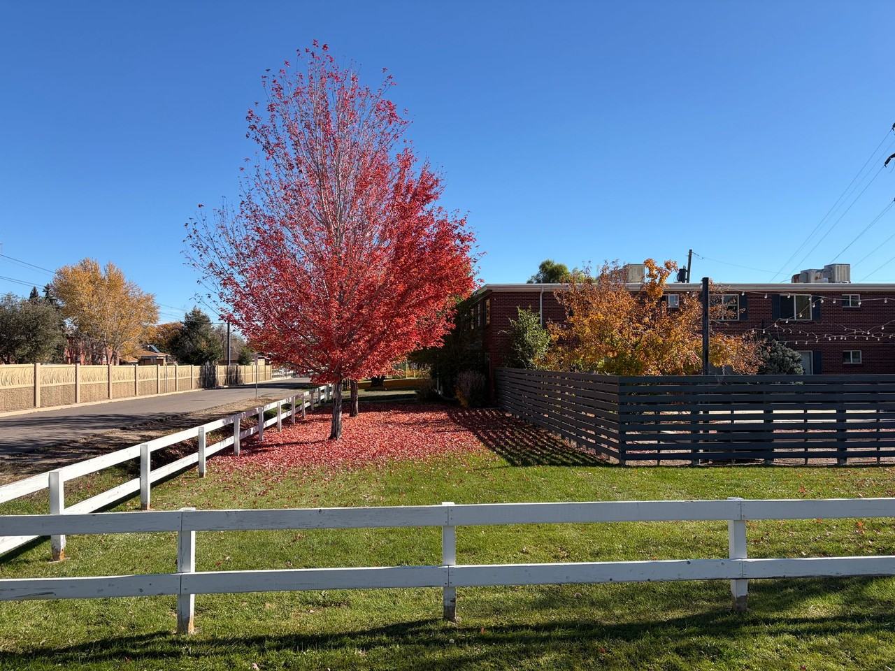 Spacious, Renovated 1 - Photo 4 of 6