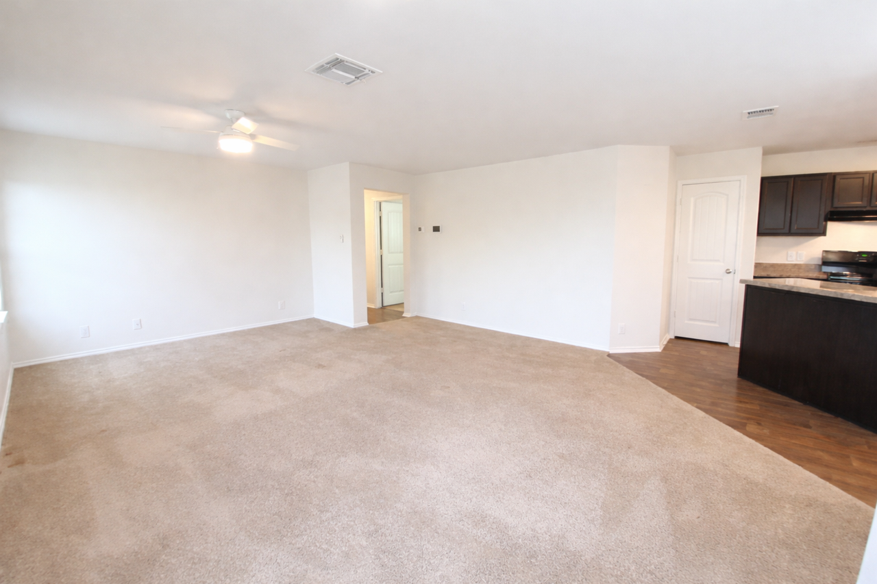 122 Moscovy Duck - Photo 5 of 20