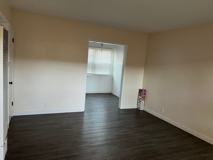 Flora - Photo 1 of 1