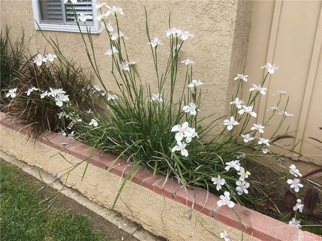 6131 Canby Ave - Photo 5 of 10