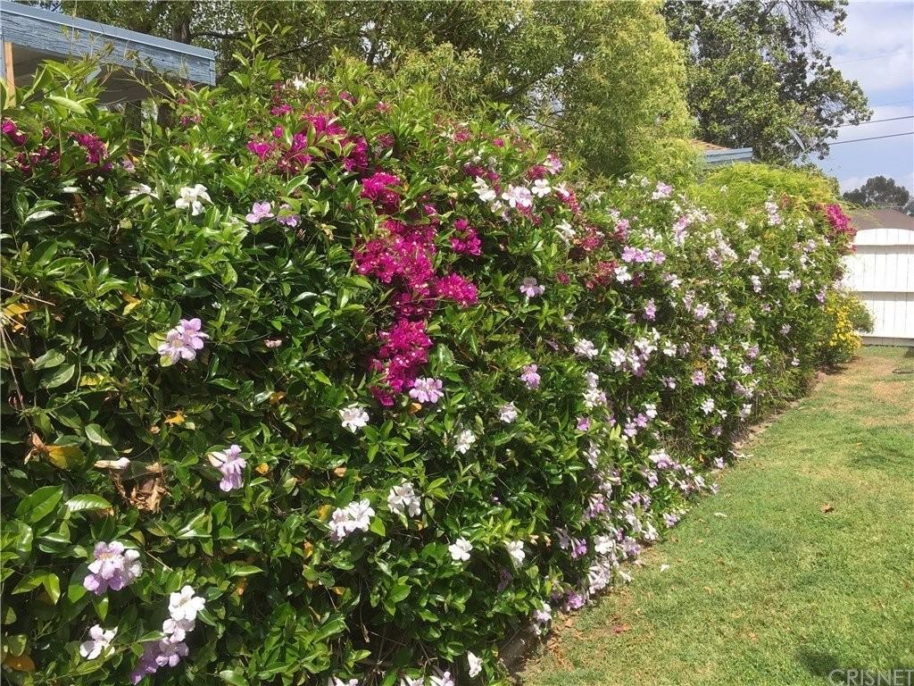 6131 Canby Ave - Photo 7 of 10