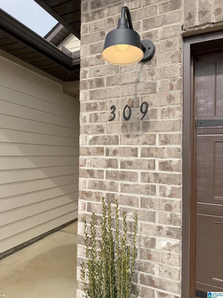 309 Allene Way - Photo 3 of 40