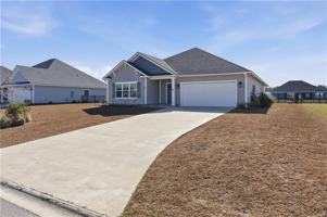 featured image of 85 Allie Loop Loop