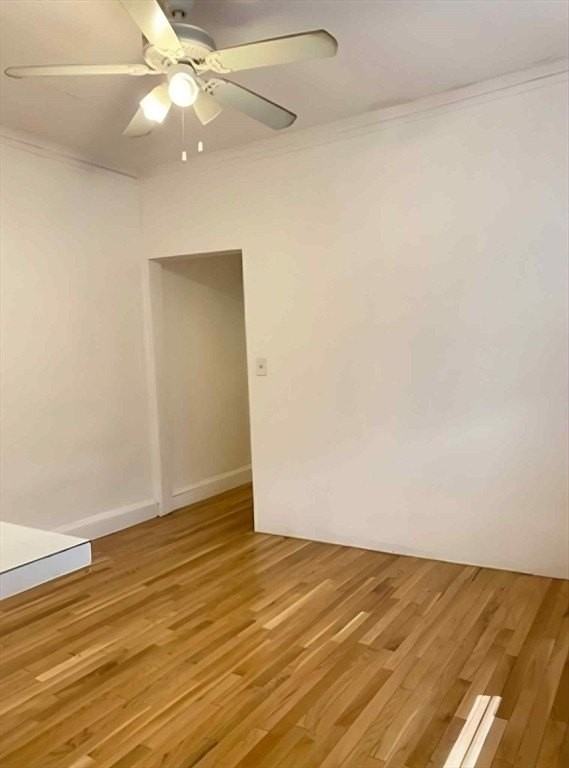 2031 Commonwealth Ave Apt 2 #2 - Photo 5 of 8