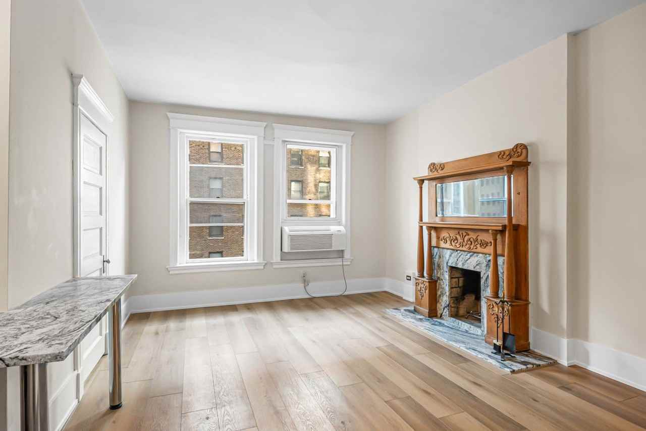 2800 N Pine Grove Ave Unit 4e #4E - Photo 5 of 17