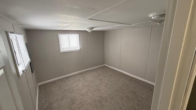 1335 Driftwood Aly #1335D - Photo 5 of 7